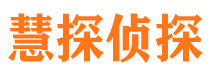 瀍河市私家侦探